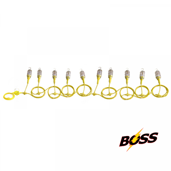12 Volt LED Vapor Proof - 10 Hand Lamp System
